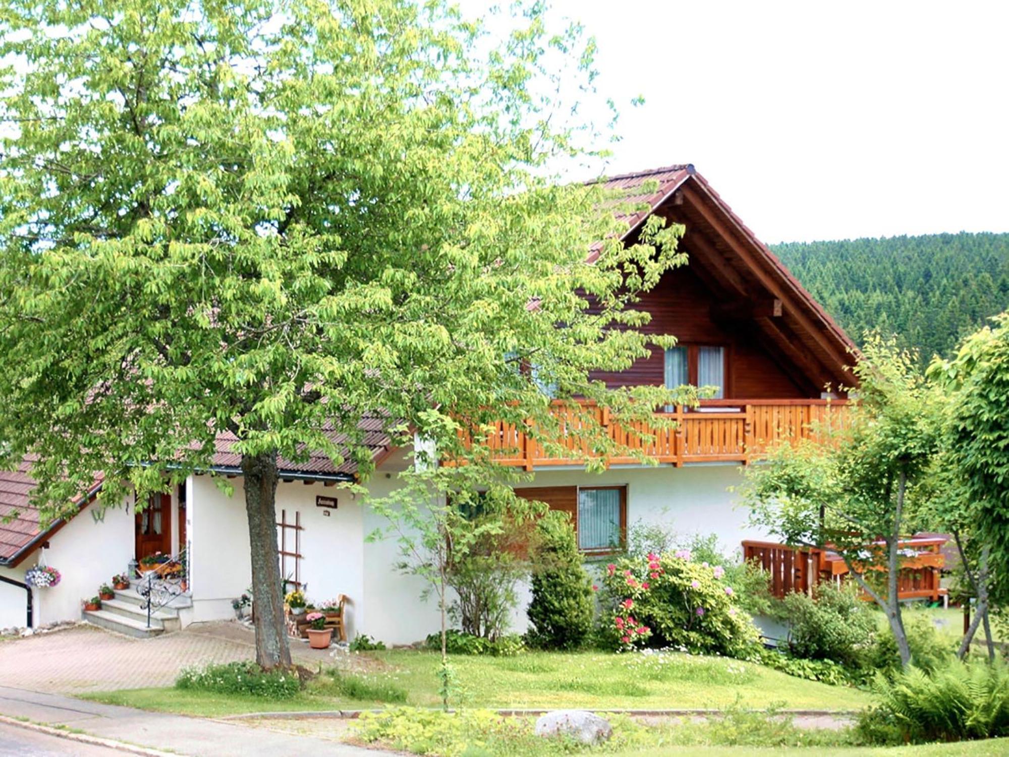 Haus Doerflinger Frau Marianne Apartment Schluchsee Exterior photo